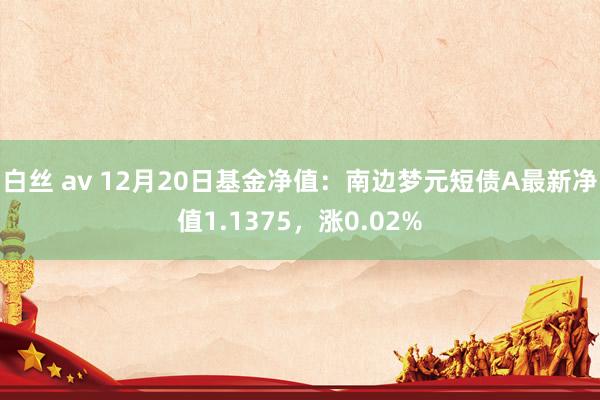 白丝 av 12月20日基金净值：南边梦元短债A最新净值1.1375，涨0.02%