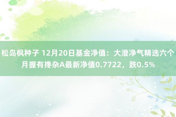 松岛枫种子 12月20日基金净值：大澄净气精选六个月握有搀杂A最新净值0.7722，跌0.5%