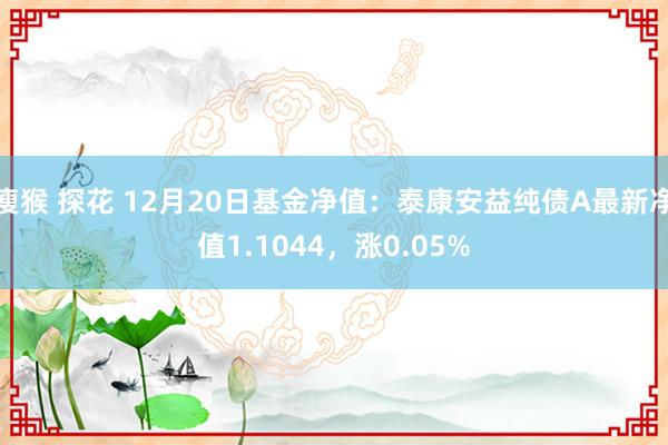 瘦猴 探花 12月20日基金净值：泰康安益纯债A最新净值1.1044，涨0.05%