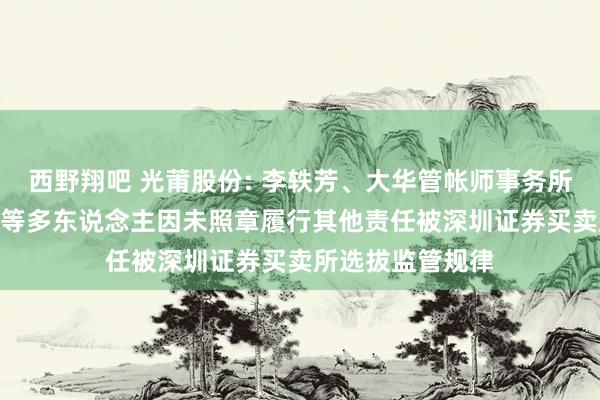 西野翔吧 光莆股份: 李轶芳、大华管帐师事务所(格外鄙俗合资)等多东说念主因未照章履行其他责任被深圳证券买卖所选拔监管规律