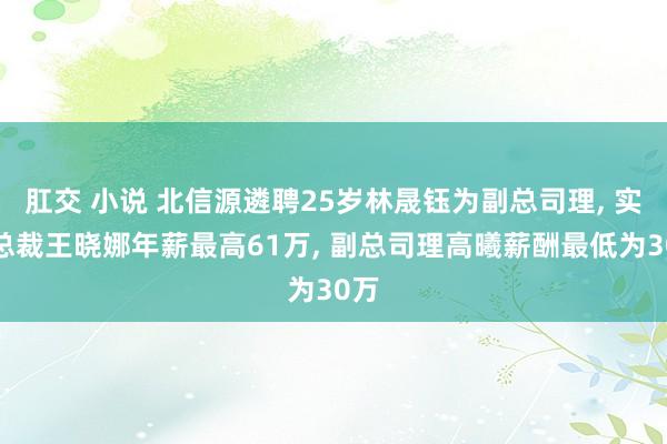 肛交 小说 北信源遴聘25岁林晟钰为副总司理， 实行总裁王晓娜年薪最高61万， 副总司理高曦薪酬最低为30万