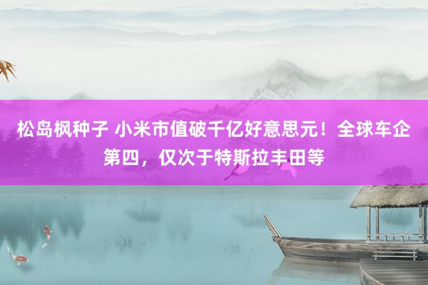 松岛枫种子 小米市值破千亿好意思元！全球车企第四，仅次于特斯拉丰田等