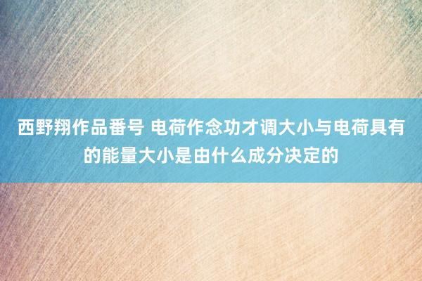 西野翔作品番号 电荷作念功才调大小与电荷具有的能量大小是由什么成分决定的