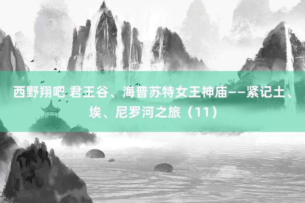 西野翔吧 君王谷、海普苏特女王神庙——紧记土、埃、尼罗河之旅（11）