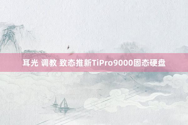 耳光 调教 致态推新TiPro9000固态硬盘