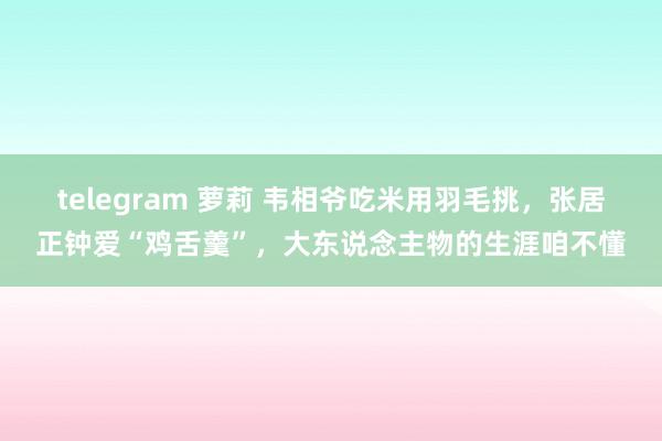 telegram 萝莉 韦相爷吃米用羽毛挑，张居正钟爱“鸡舌羹”，大东说念主物的生涯咱不懂