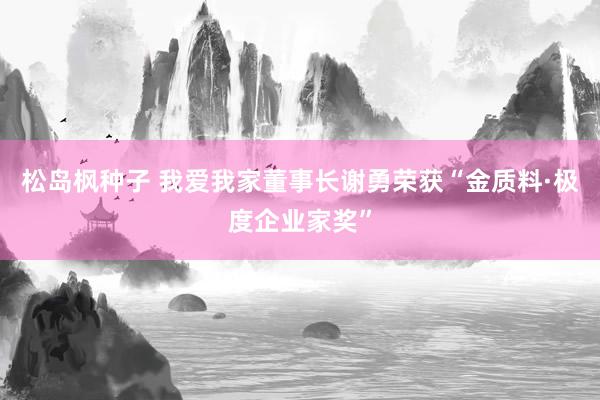 松岛枫种子 我爱我家董事长谢勇荣获“金质料·极度企业家奖”