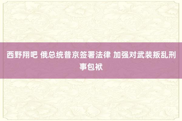 西野翔吧 俄总统普京签署法律 加强对武装叛乱刑事包袱