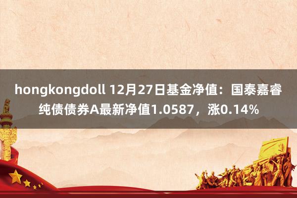 hongkongdoll 12月27日基金净值：国泰嘉睿纯债债券A最新净值1.0587，涨0.14%