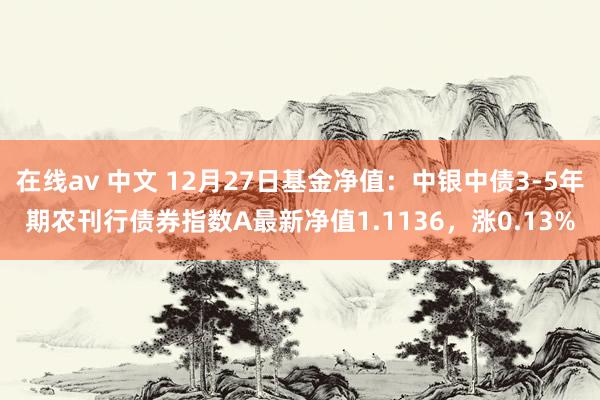 在线av 中文 12月27日基金净值：中银中债3-5年期农刊行债券指数A最新净值1.1136，涨0.13%