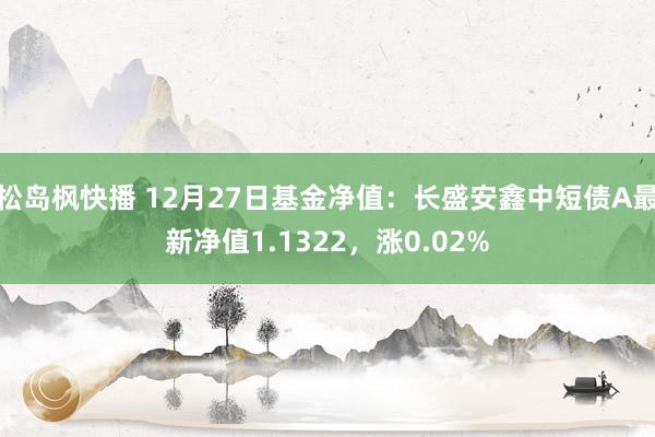 松岛枫快播 12月27日基金净值：长盛安鑫中短债A最新净值1.1322，涨0.02%