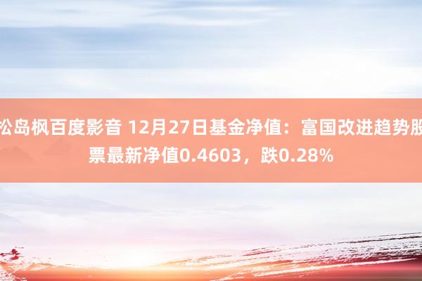 松岛枫百度影音 12月27日基金净值：富国改进趋势股票最新净值0.4603，跌0.28%