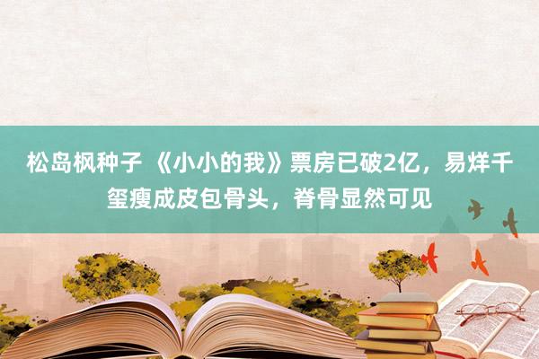 松岛枫种子 《小小的我》票房已破2亿，易烊千玺瘦成皮包骨头，脊骨显然可见