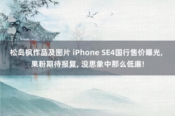 松岛枫作品及图片 iPhone SE4国行售价曝光， 果粉期待报复， 没思象中那么低廉!