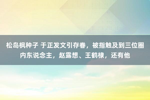 松岛枫种子 于正发文引存眷，被指触及到三位圈内东说念主，赵露想、王鹤棣，还有他