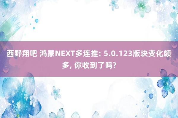 西野翔吧 鸿蒙NEXT多连推: 5.0.123版块变化颇多， 你收到了吗?