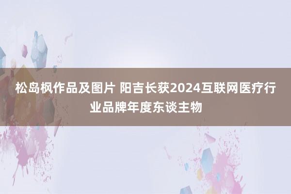 松岛枫作品及图片 阳吉长获2024互联网医疗行业品牌年度东谈主物