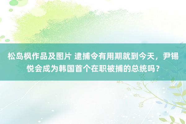 松岛枫作品及图片 逮捕令有用期就到今天，尹锡悦会成为韩国首个在职被捕的总统吗？