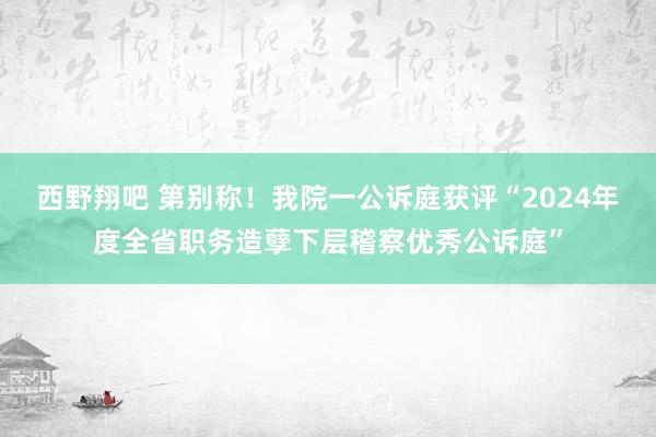 西野翔吧 第别称！我院一公诉庭获评“2024年度全省职务造孽下层稽察优秀公诉庭”