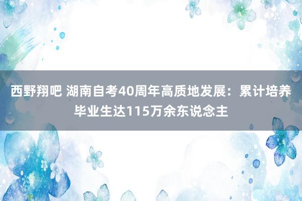 西野翔吧 湖南自考40周年高质地发展：累计培养毕业生达115万余东说念主