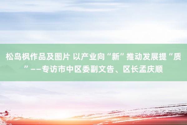 松岛枫作品及图片 以产业向“新”推动发展提“质”——专访市中区委副文告、区长孟庆顺