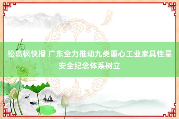 松岛枫快播 广东全力推动九类重心工业家具性量安全纪念体系树立