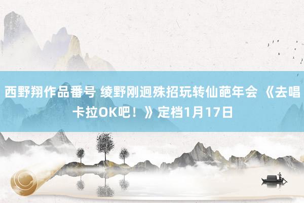 西野翔作品番号 绫野刚迥殊招玩转仙葩年会 《去唱卡拉OK吧！》定档1月17日