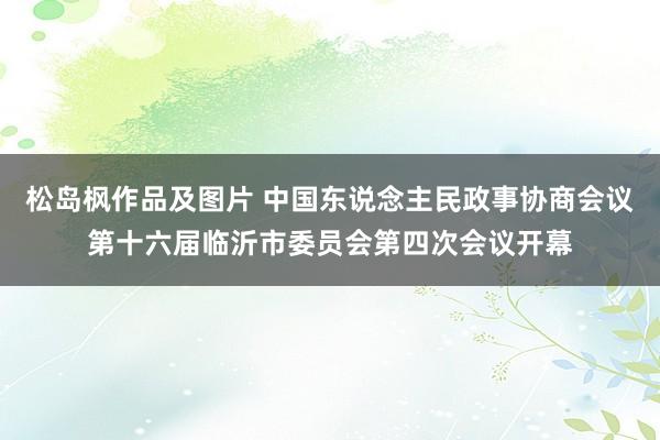 松岛枫作品及图片 中国东说念主民政事协商会议第十六届临沂市委员会第四次会议开幕