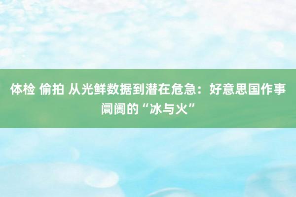 体检 偷拍 从光鲜数据到潜在危急：好意思国作事阛阓的“冰与火”