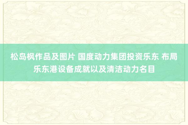 松岛枫作品及图片 国度动力集团投资乐东 布局乐东港设备成就以及清洁动力名目