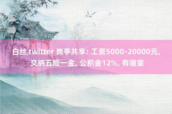 白丝 twitter 岗亭共享: 工资5000-20000元， 交纳五险一金， 公积金12%， 有寝室