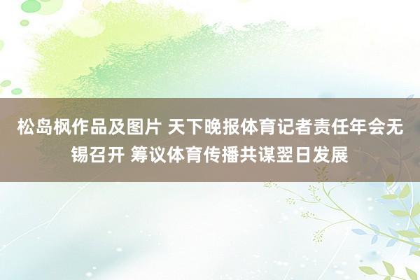 松岛枫作品及图片 天下晚报体育记者责任年会无锡召开 筹议体育传播共谋翌日发展