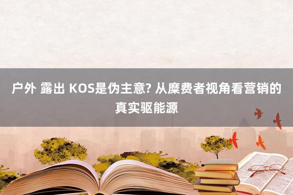 户外 露出 KOS是伪主意? 从糜费者视角看营销的真实驱能源