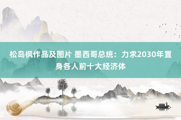 松岛枫作品及图片 墨西哥总统：力求2030年置身各人前十大经济体