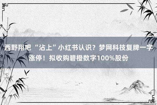 西野翔吧 “沾上”小红书认识？梦网科技复牌一字涨停！拟收购碧橙数字100%股份