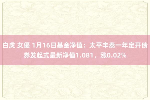 白虎 女優 1月16日基金净值：太平丰泰一年定开债券发起式最新净值1.081，涨0.02%