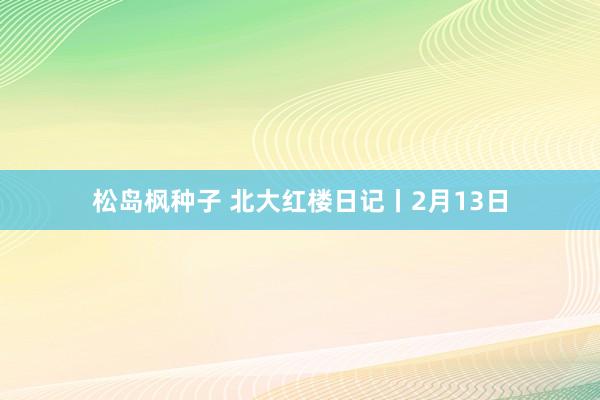 松岛枫种子 北大红楼日记丨2月13日