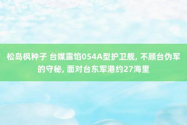 松岛枫种子 台媒露馅054A型护卫舰， 不顾台伪军的守秘， 面对台东军港约27海里