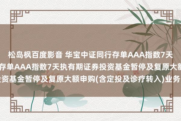 松岛枫百度影音 华宝中证同行存单AAA指数7天执有期: 华宝中证同行存单AAA指数7天执有期证券投资基金暂停及复原大额申购(含定投及诊疗转入)业务的公告