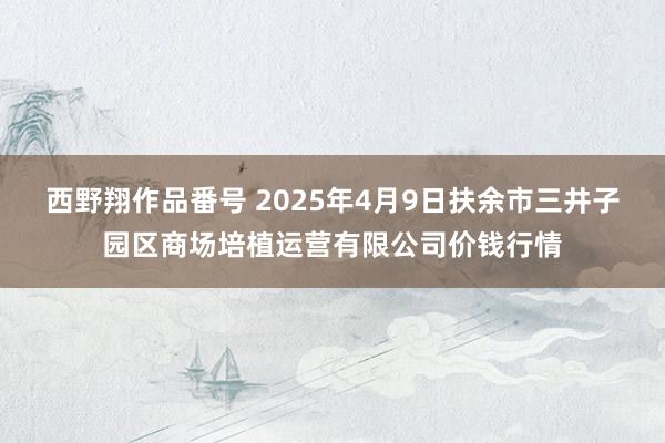 西野翔作品番号 2025年4月9日扶余市三井子园区商场培植运营有限公司价钱行情