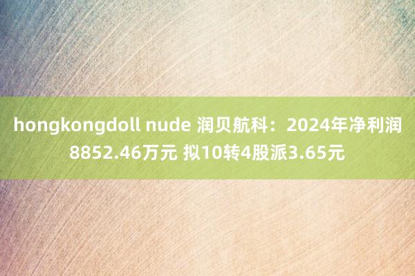 hongkongdoll nude 润贝航科：2024年净利润8852.46万元 拟10转4股派3.65元