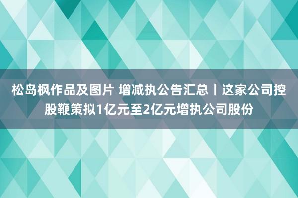 松岛枫作品及图片 增减执公告汇总丨这家公司控股鞭策拟1亿元至2亿元增执公司股份